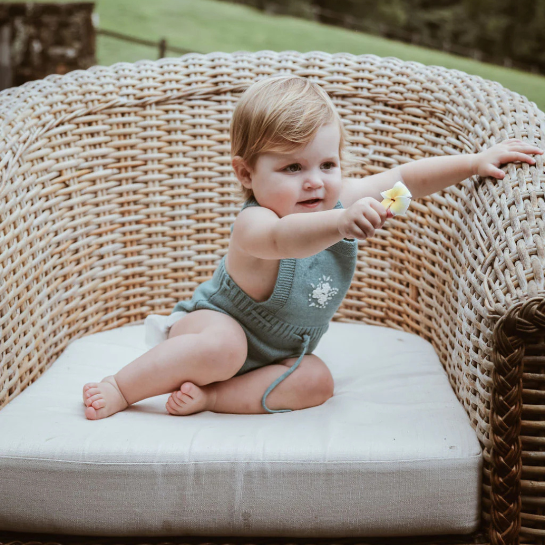 What are the key toddler milestones?