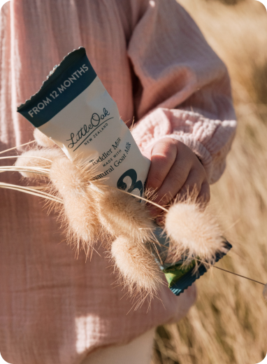 The LittleOak Company - Canada – The LittleOak Company CA The LittleOak Company - Canada – The LittleOak Company CA